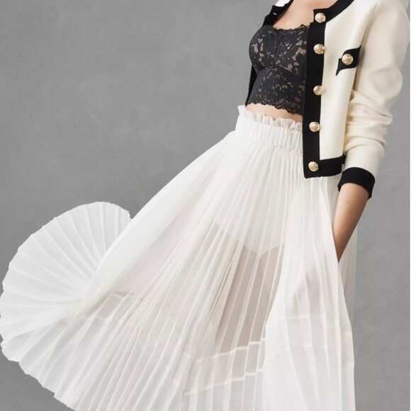 Anthropologie Sheer Pleated A-Line Skirt - Picture 6 of 16